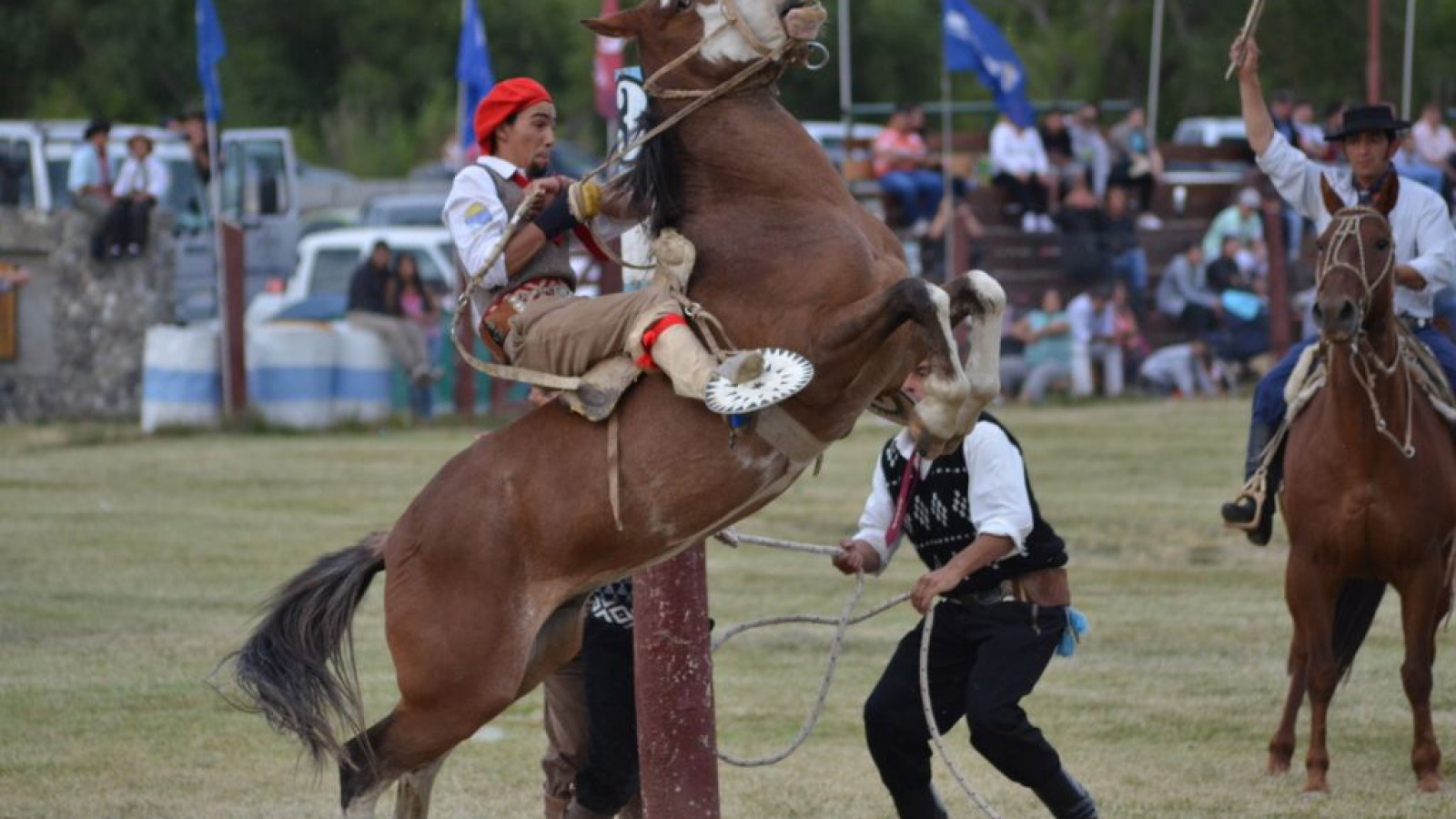 Se acerca el Festival Nocturno de Doma de la Fiesta Nacional del Lago